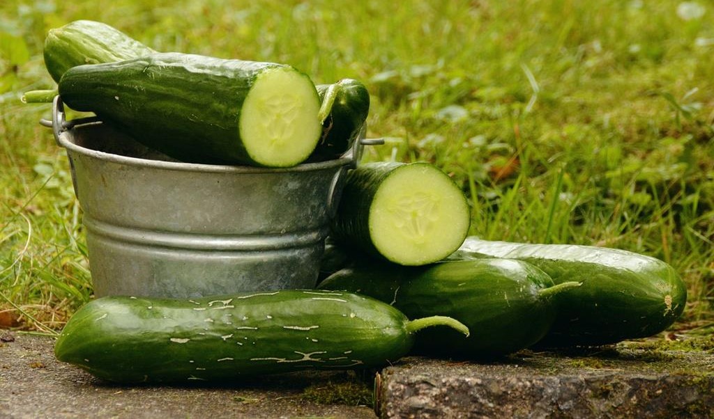 Cucumbers image