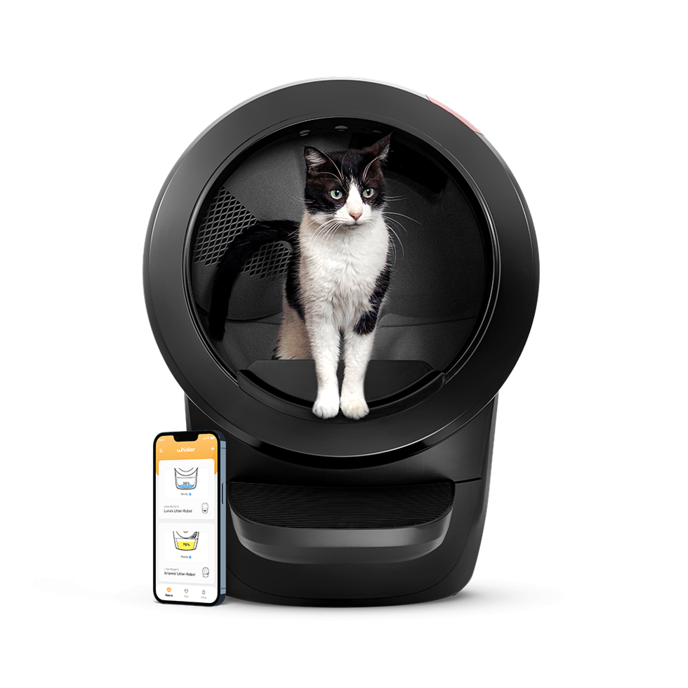 Can I Use World'S Best Cat Litter With Litter Robot