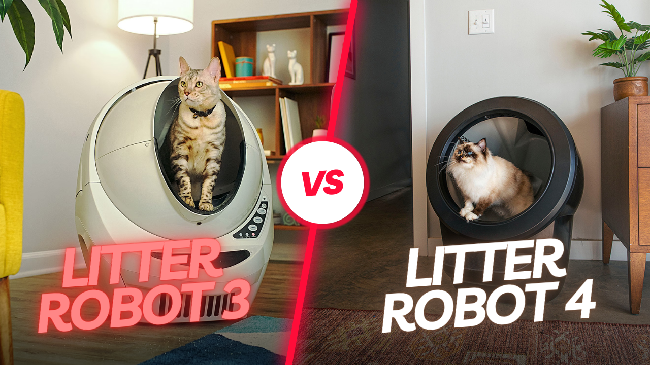 Difference between Cat Litter Robot 3 And 4