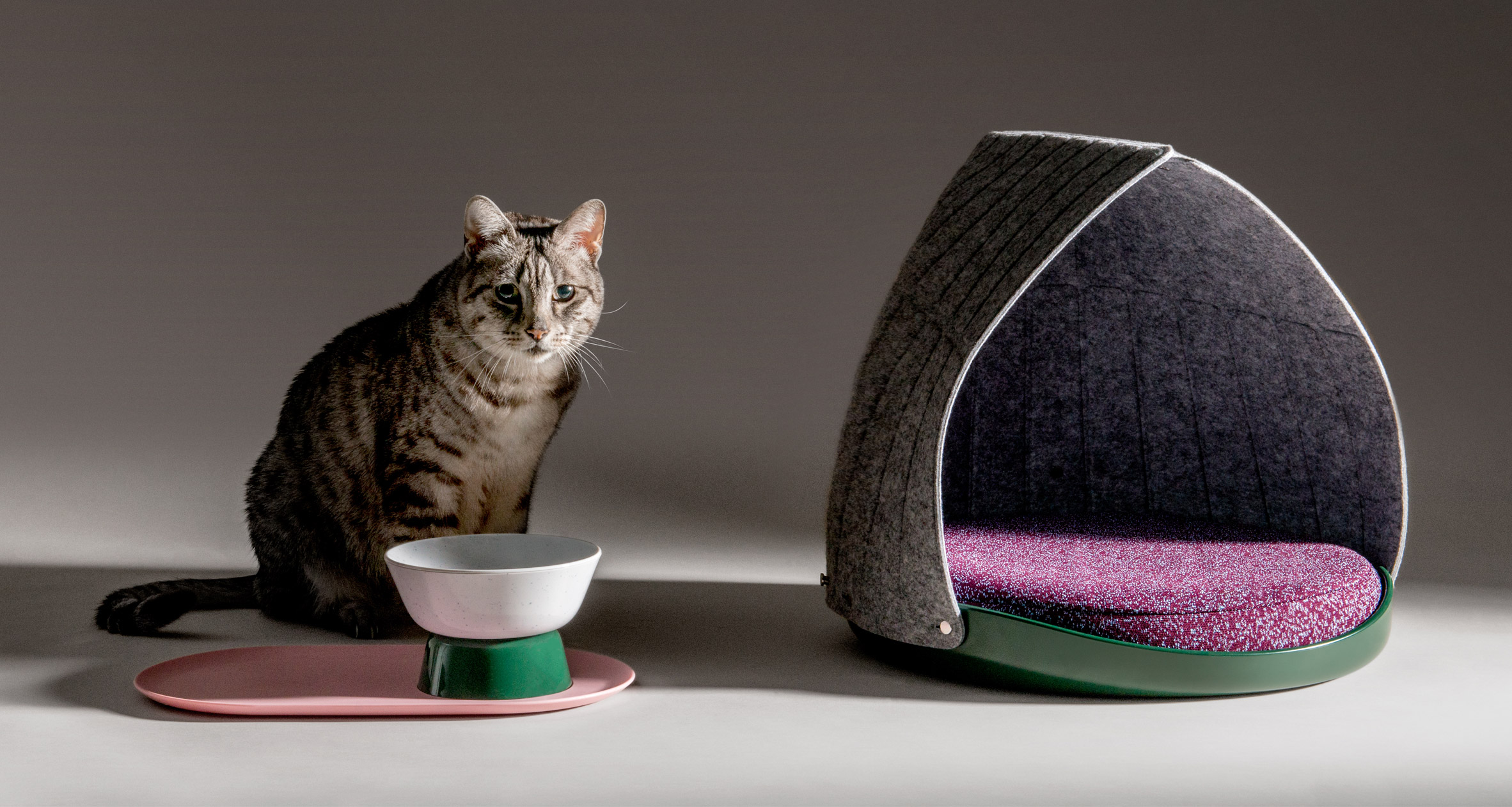 Do Cats Really Use Cat Beds?