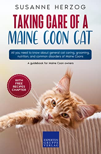 How Much Does a Maine Coon Cat Cost to Buy