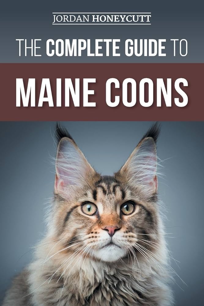 How Much Does It Cost to Feed a Maine Coon