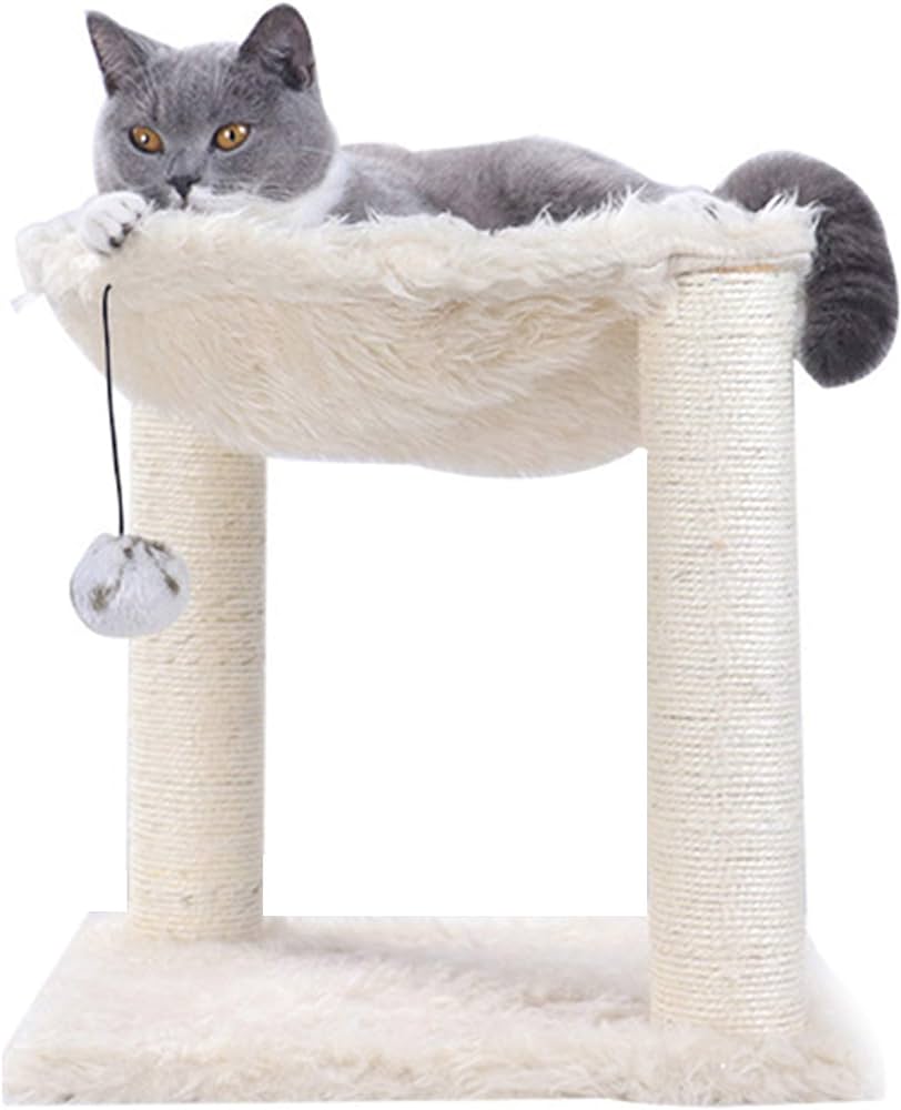 How to Encourage Cat to Use Cat Tree