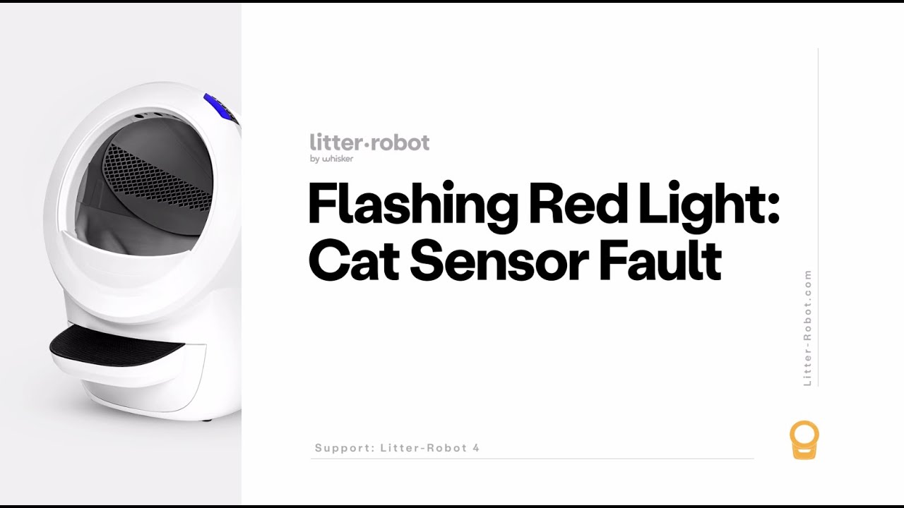 How to Fix Cat Sensor Fault Litter Robot 3