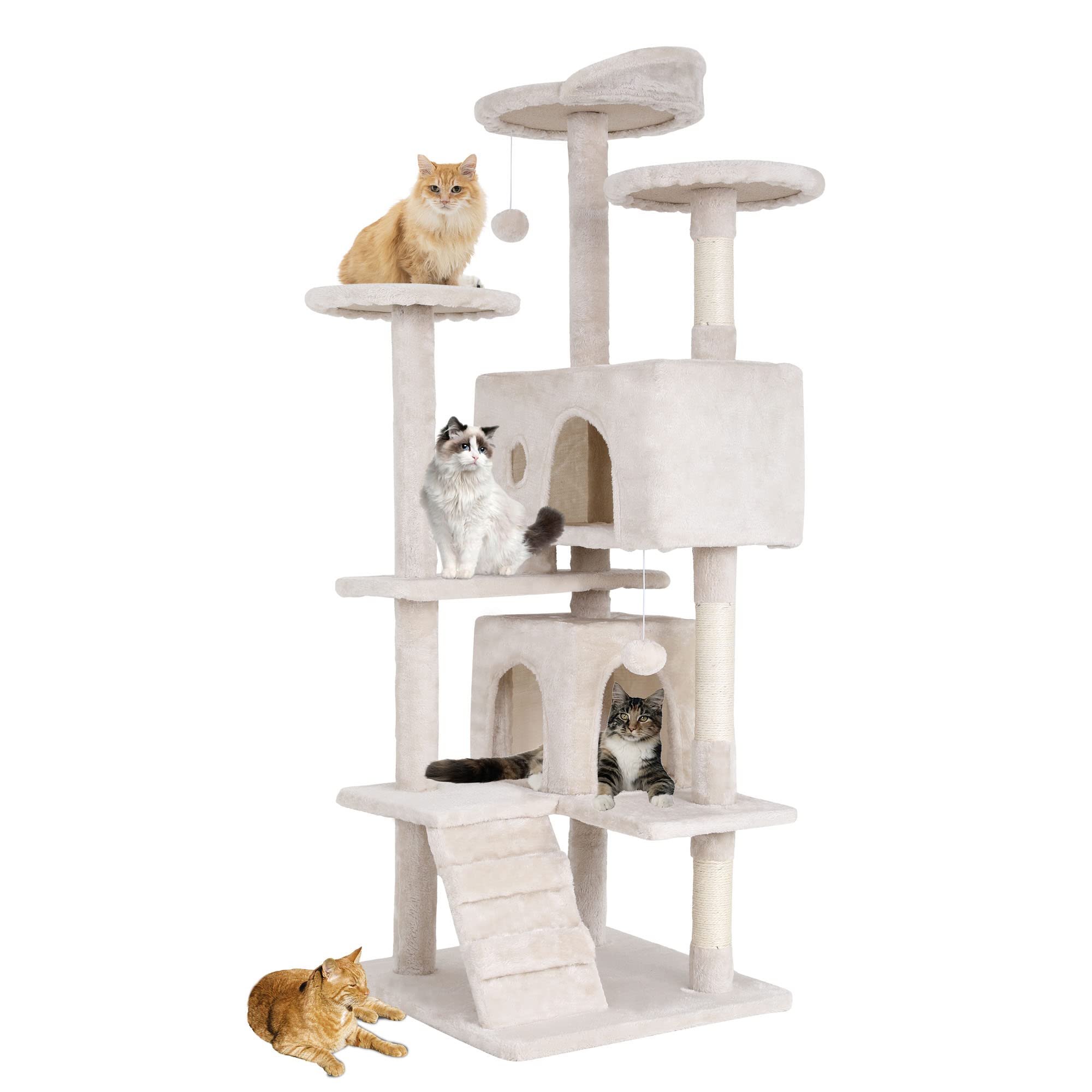 How to Get Kitten to Use Cat Tree