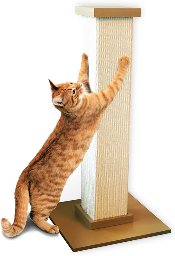 What Age Do Cats Need Scratching Post?