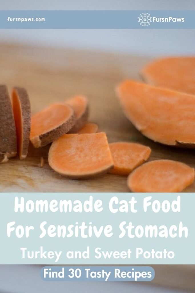 Homemade Cat Food Recipes for Sensitive Stomachs