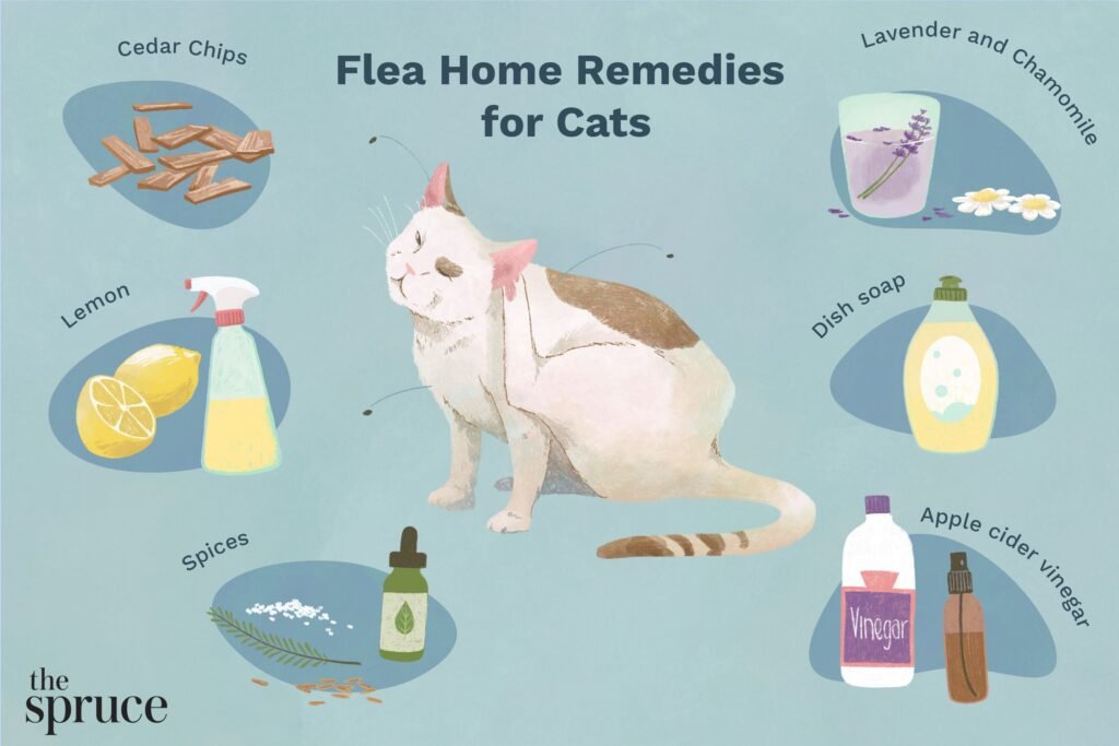 Natural Remedies for Cat Fleas