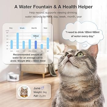 Pf1 2L Cat Water Fountain Troubleshooting