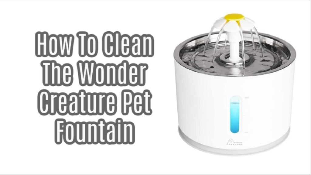 Wonder Creature Cat Water Fountain Troubleshooting